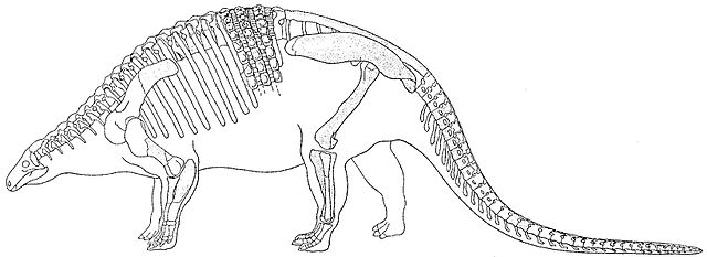 Nodosaurus dinosauro nodosauro 640px-Nodosaurus_textilis