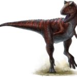 Carnotauro Carnotaurus Dinosauro 800x600 72dpi