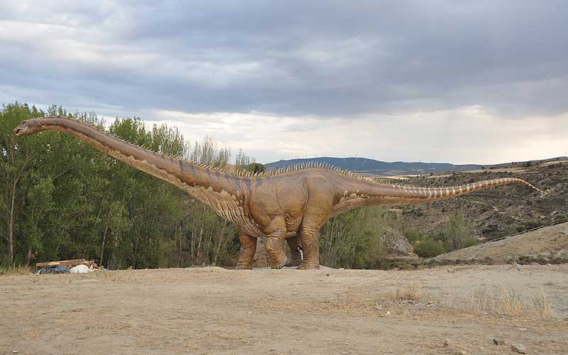 Diplodoco diplodocus dinosauro erbivoro