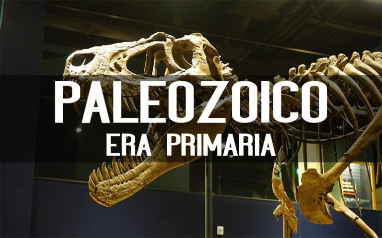 Paleozoico era Primaria