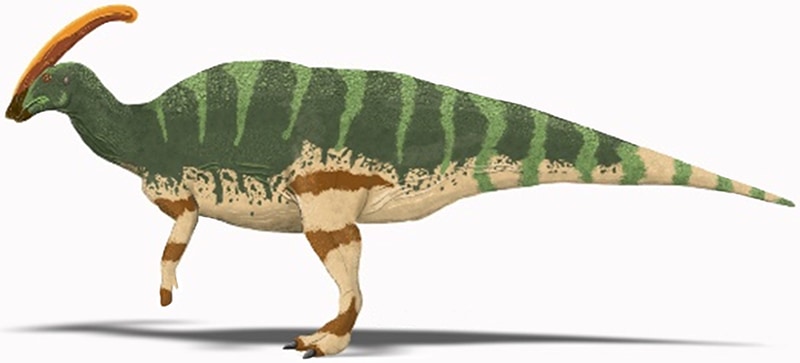 Parasaurolophus_walkeri dinosauro