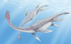 Plesiosauro plesiosaurus dinosauro marino acquatico
