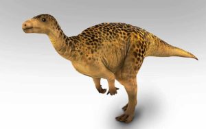 Acristavis dinosauro erbivoro