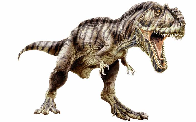 Gigantosauro gigantosaurus immagine
