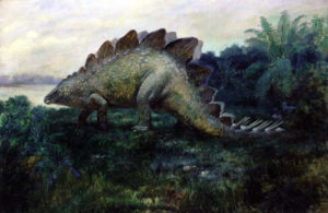 Stegosauro stegosaurus dinosauro erbivoro - immagine wikipedia