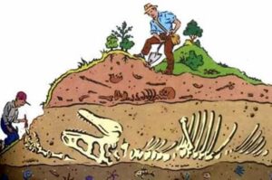 paleontologo e paleontologia