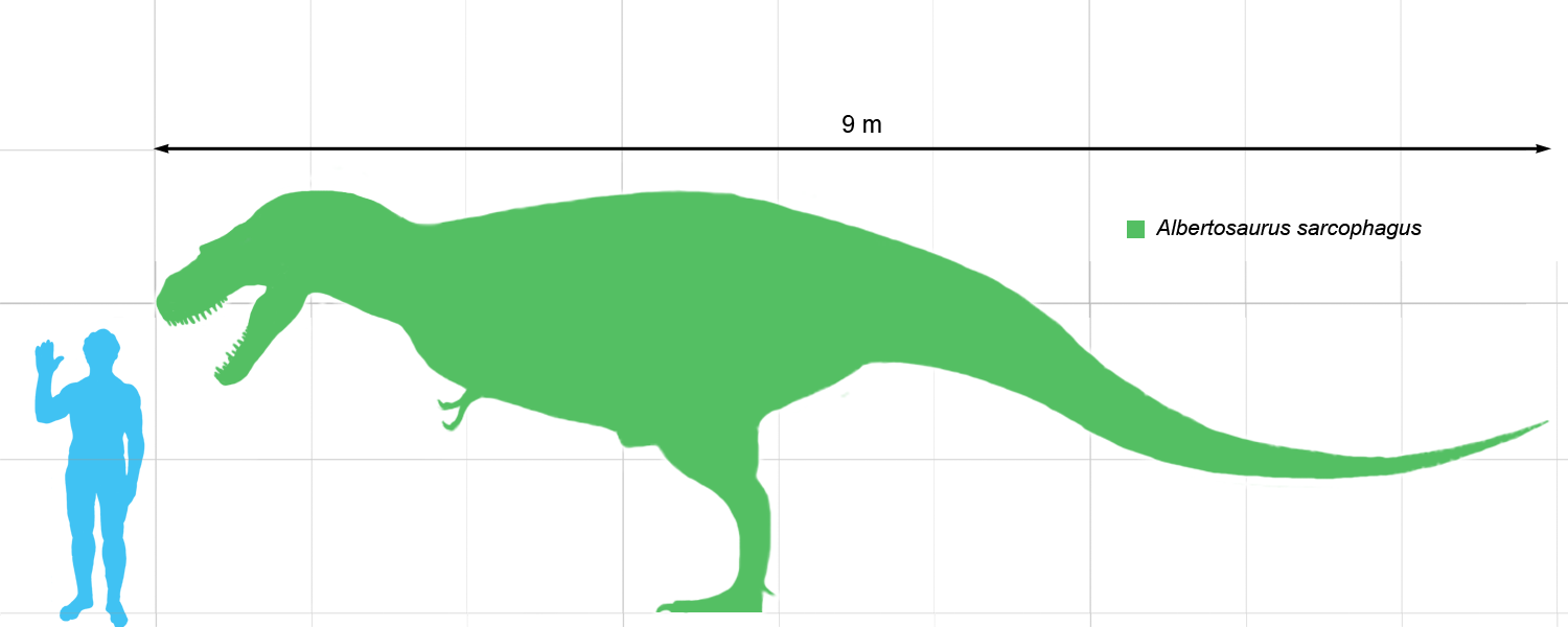 Albertosaurus dimensioni dinosauri360
