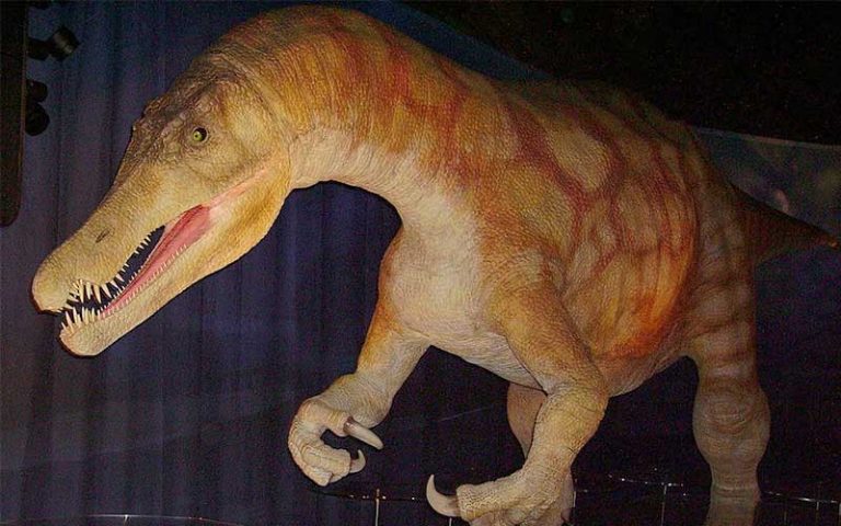 Baryonyx-dinosauro-pescivoro-carnivoro-800-x-500-dinosauri360