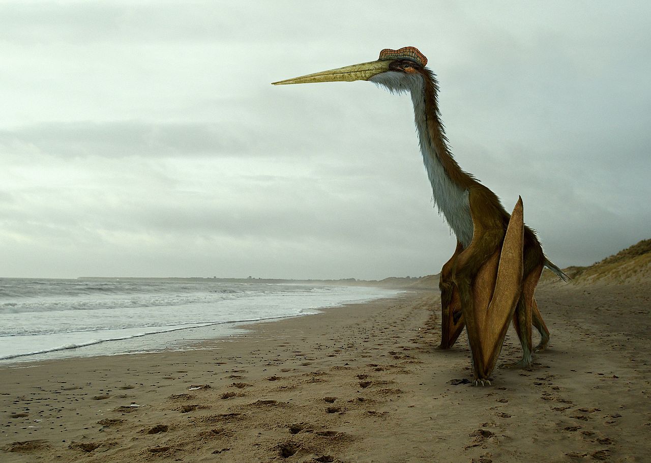 Quetzalcoatlus dinosauro volante dinosauri360