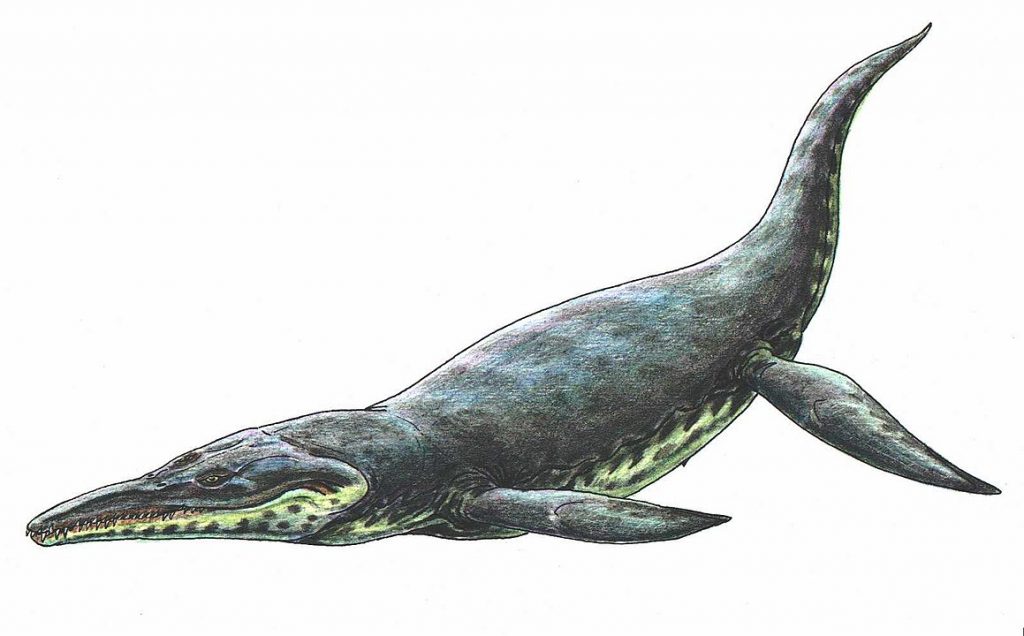 1159px-Kronosaurus