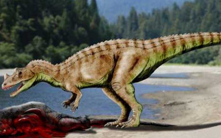 Ceratosaurus-dinosauro-carnivoro-800-x500-dionsauri360