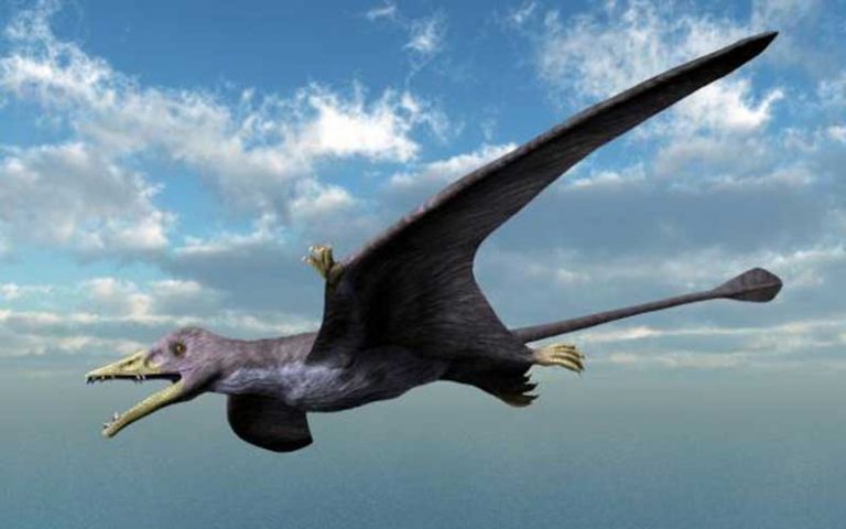 Eudimorphodon-dinosauro-volante-800x500-post