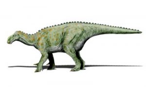 Iguanodon-dinosauro-erbivoro-800x600