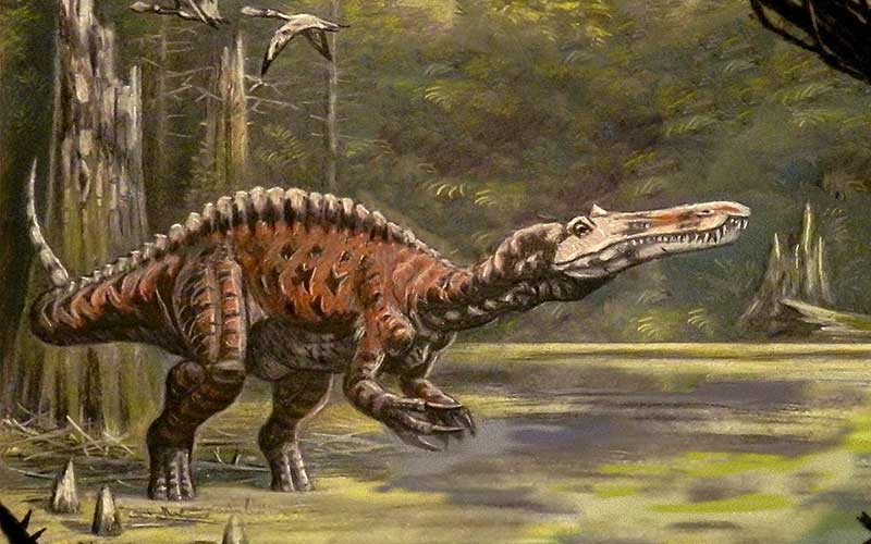 Suchomimus-Dinosauro-Carnivoro-800x500