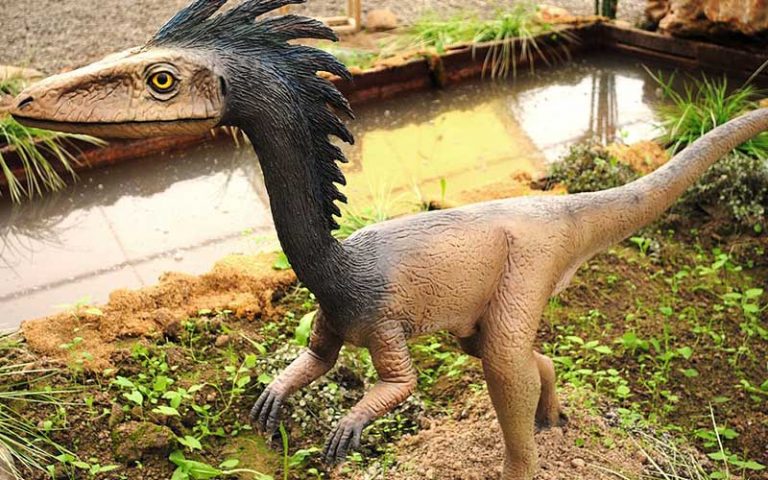 Troodon-dinosauro-carnivoro-800x500-dinosauri360