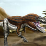 Tarbosaurus dinosauro carnivoro 800x500