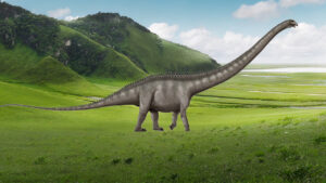Supersaurus dinosauro erbivoro