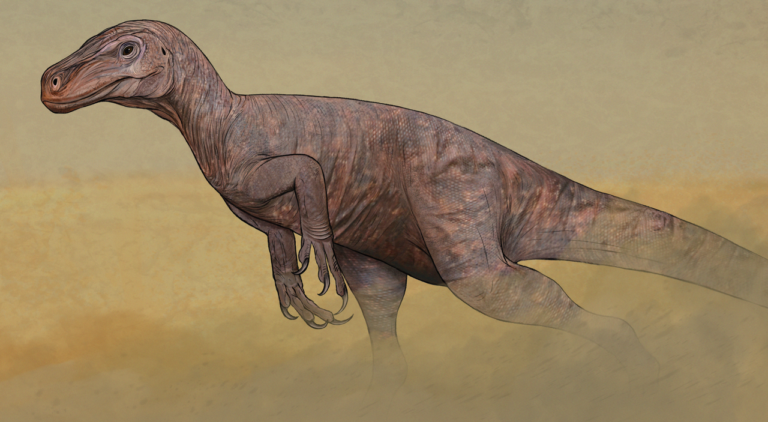 Scopri i Misteri dei Dinosauri Staurikosaurus