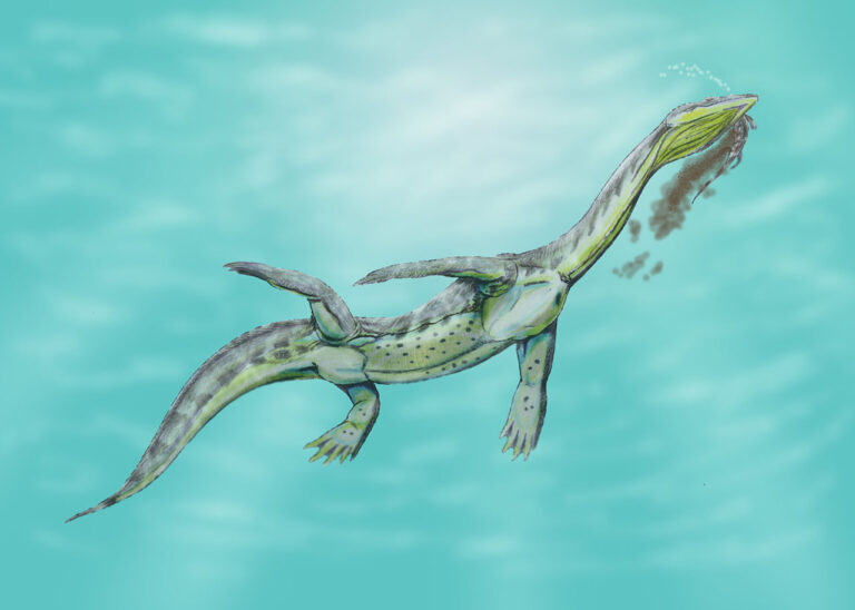 notosauri dinosauri acquatici